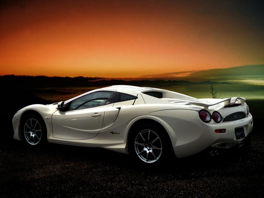  Mitsuoka Orochi Gold Premium 2010 года  (фото 4 из 6)